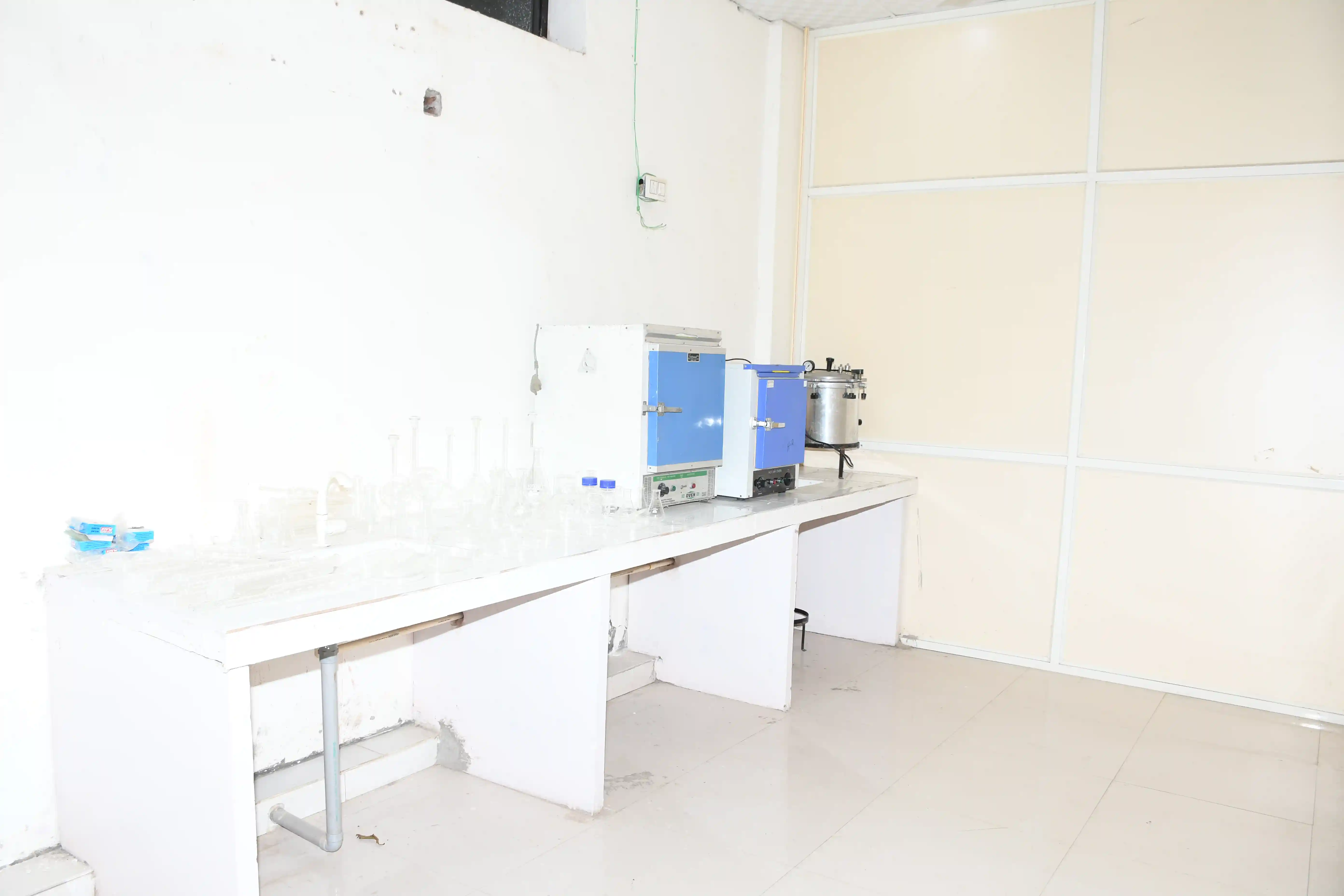 Misty Forest